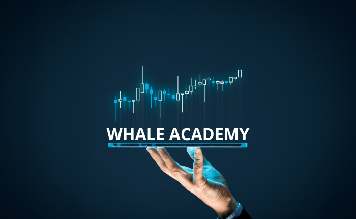 WHALE ACADEMY